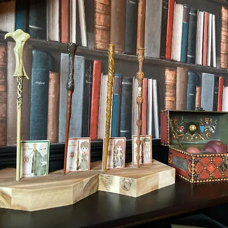 Harry Potter - Dans La Peau D'un Sorcier - 168 Apartment Rouen